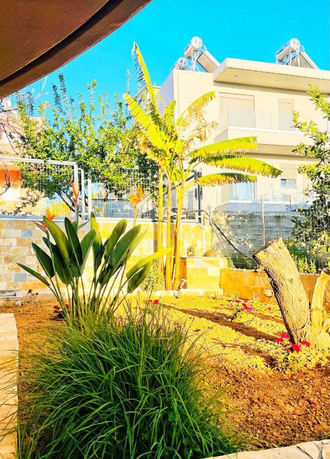 Glaros Beach Apartment Като Дарацо Екстериор снимка